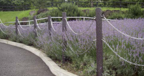 ロープ柵・チェーン柵イメージ画像