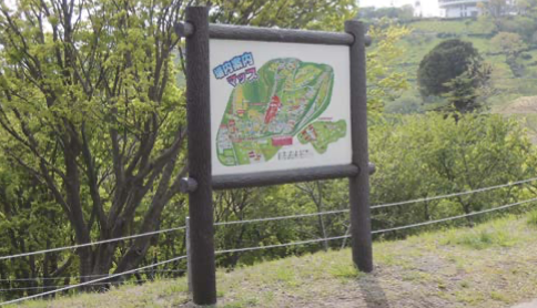 藤棚・サインイメージ画像